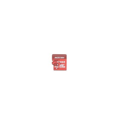 HSTFE1_256G-AD-3-p